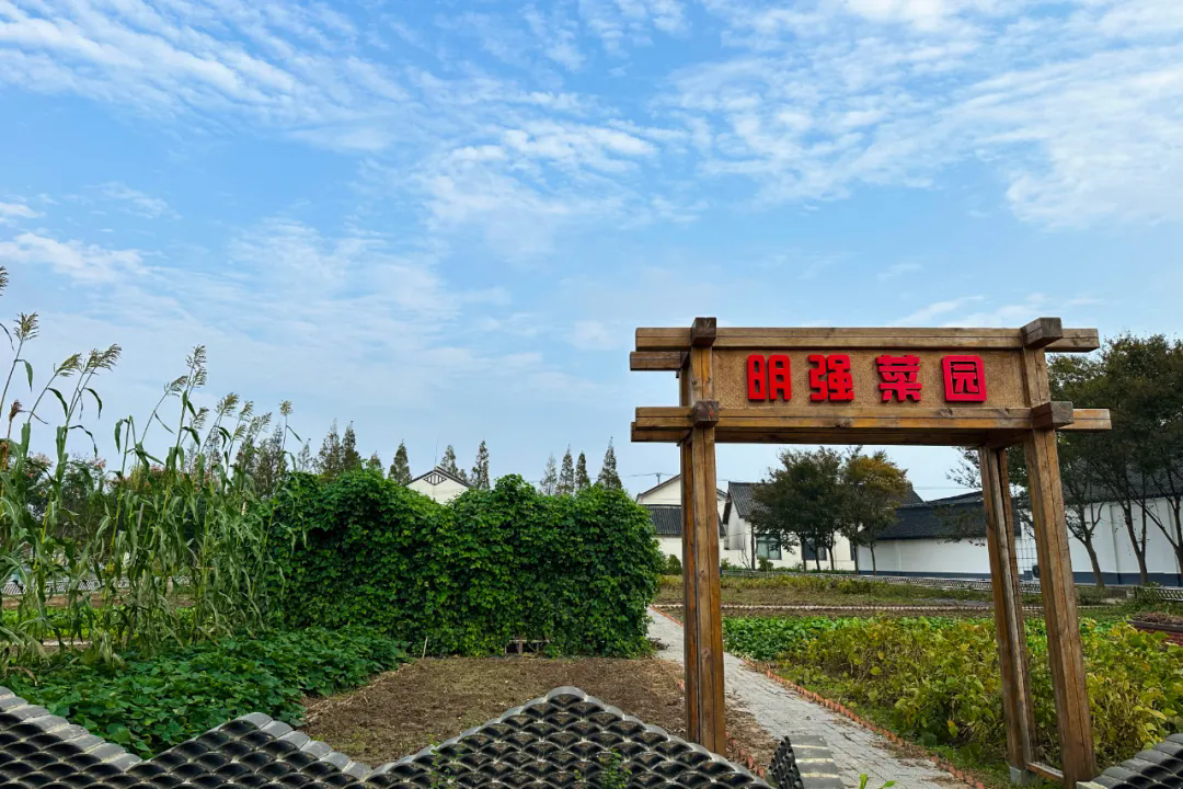 640.webp (4).png