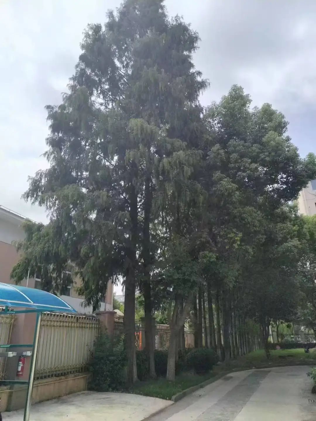微信图片_20250603144626.jpg
