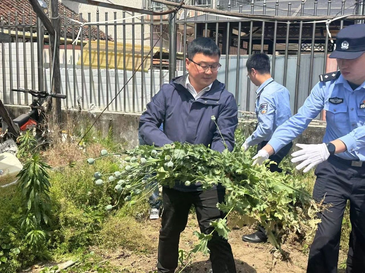 微信图片_20250430084551.jpg